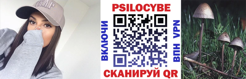 даркнет формула  ОМГ ОМГ ССЫЛКА  Волгореченск  Псилоцибиновые грибы GOLDEN TEACHER 